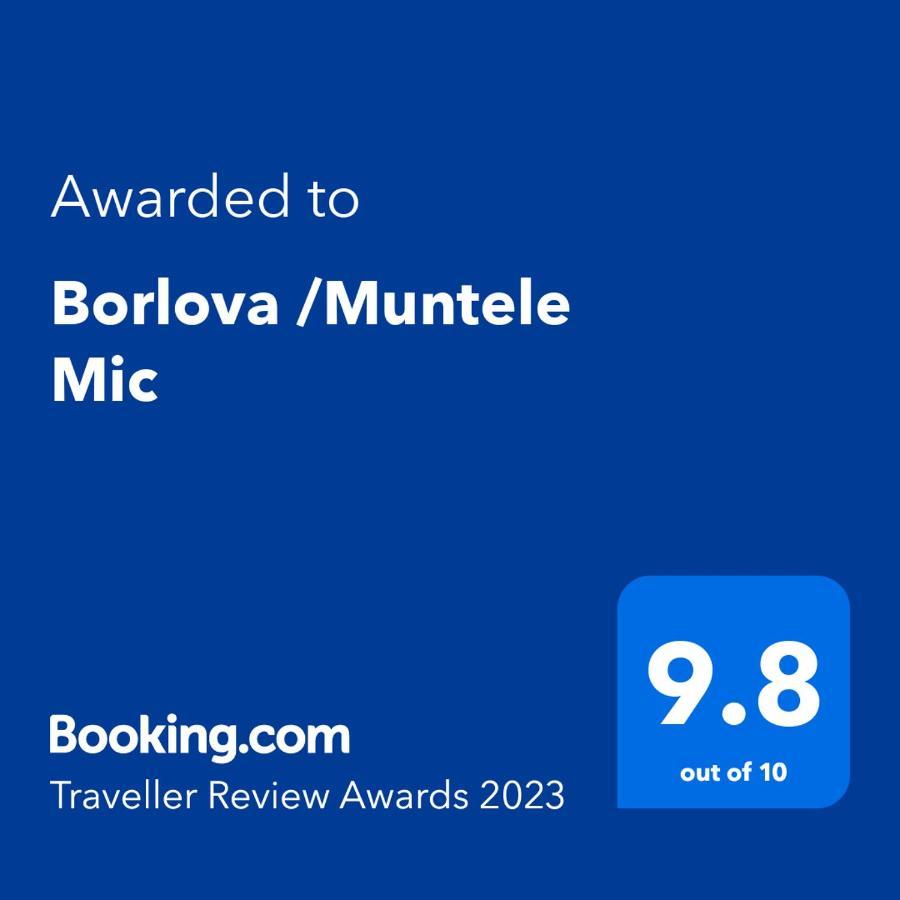 Borlova /Muntele Mic Hotel Екстериор снимка